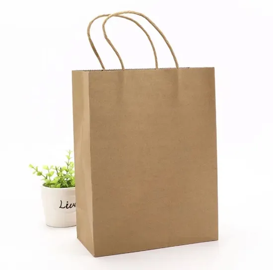 Paper Gift/Paper Shopping/Brown/White/Coffee/Gift Bag/Food Packaging/Sos/Die Cut/Twist Handle/Flat Handle/Kraft Paper/Aluminum Foil Pointed Bottom/Paper Bag