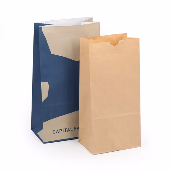 Paper Gift/Paper Shopping/Brown/White/Coffee/Gift Bag/Food Packaging/Sos/Die Cut/Twist Handle/Flat Handle/Kraft Paper/Aluminum Foil Pointed Bottom/Paper Bag